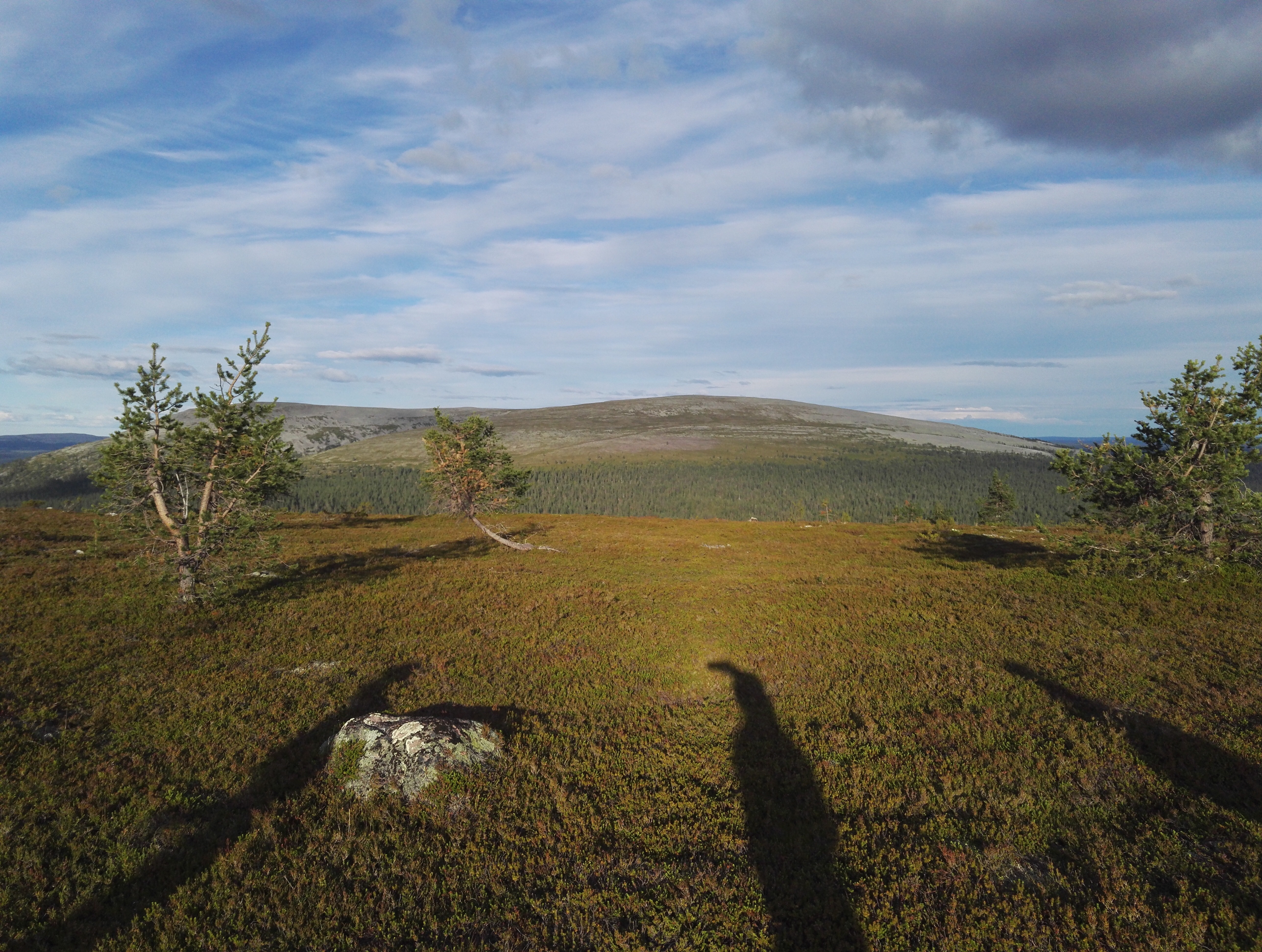 Yöauringon maalaamaa tunturimaisema