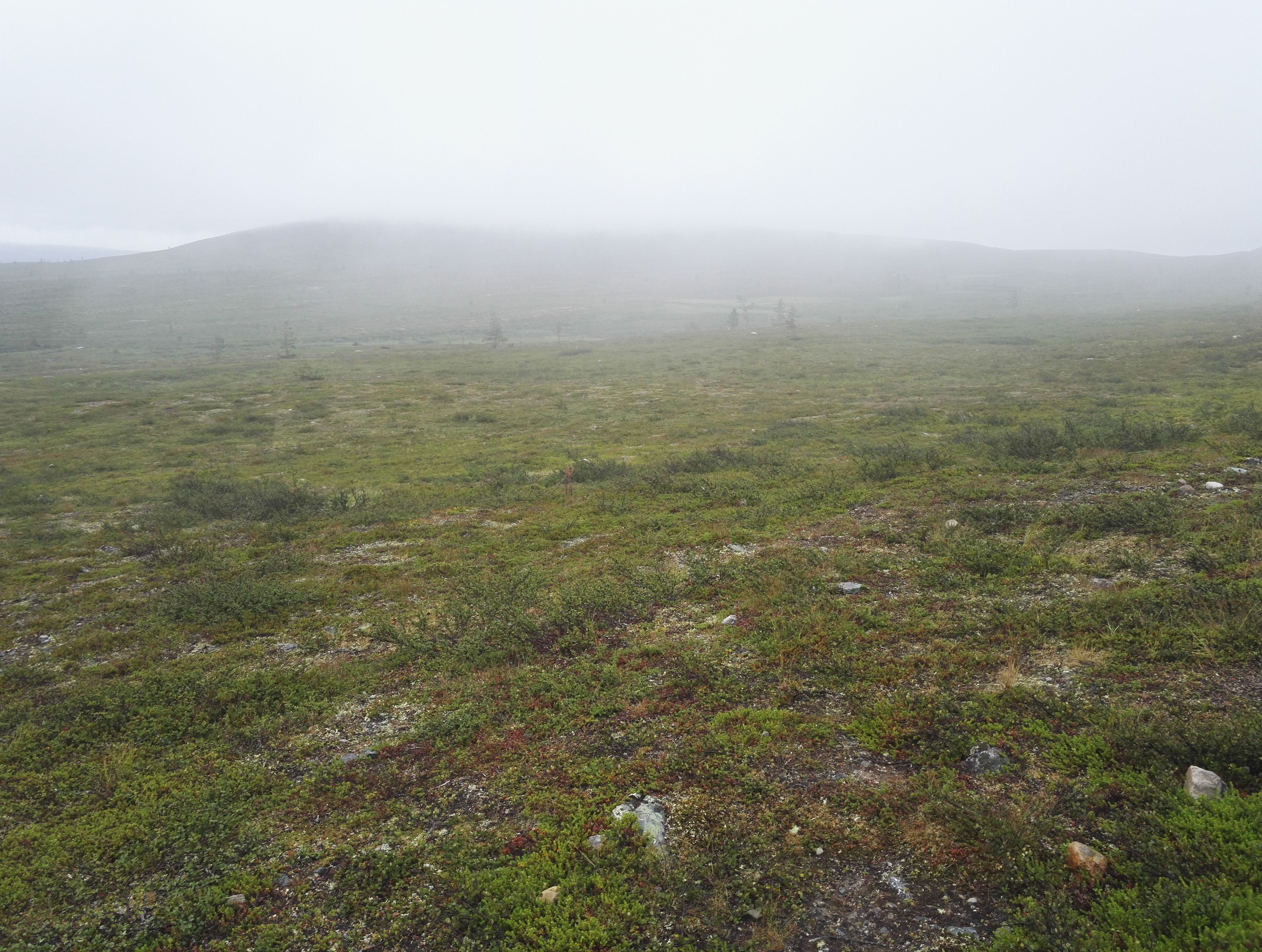 Sadetta, tuulta ja harmaata