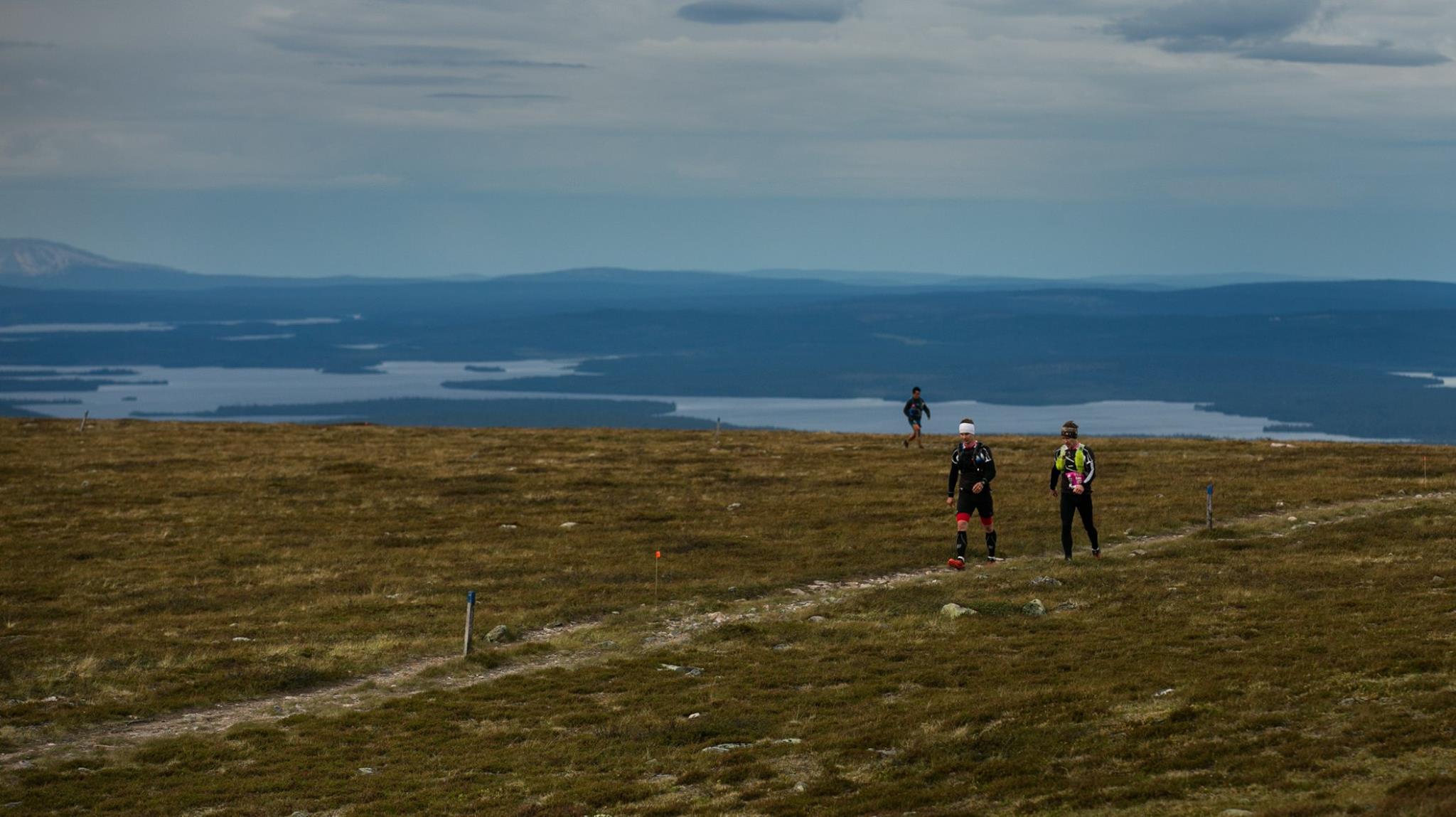 Pallaskerolla (kuva: Aapo Laiho)