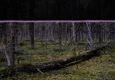 Juntit testaavat huipputeknistä valaisinta Joensuu-Jukolassa