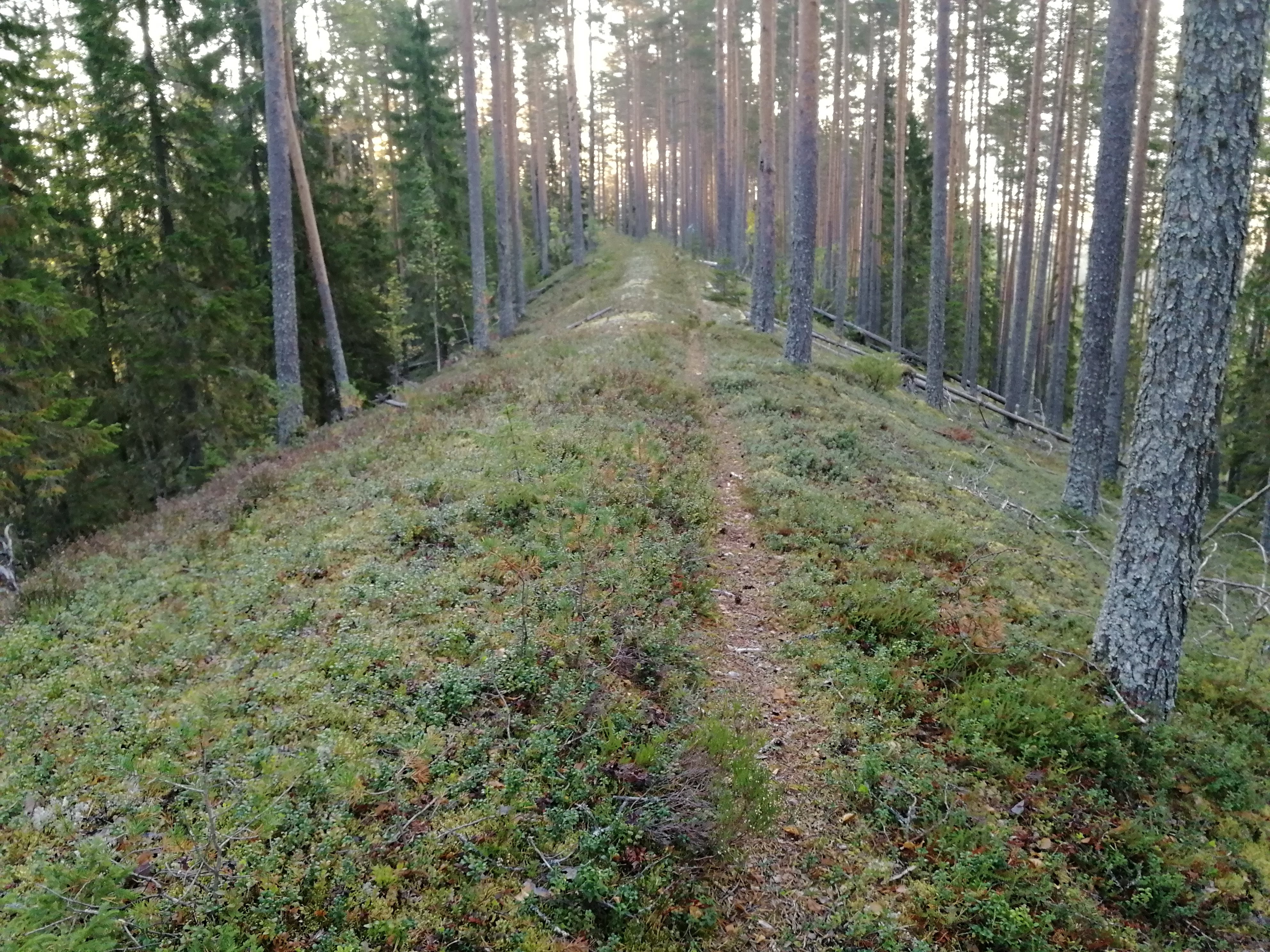 Vuokatti Trail Challenge 2018 – Juntit OK