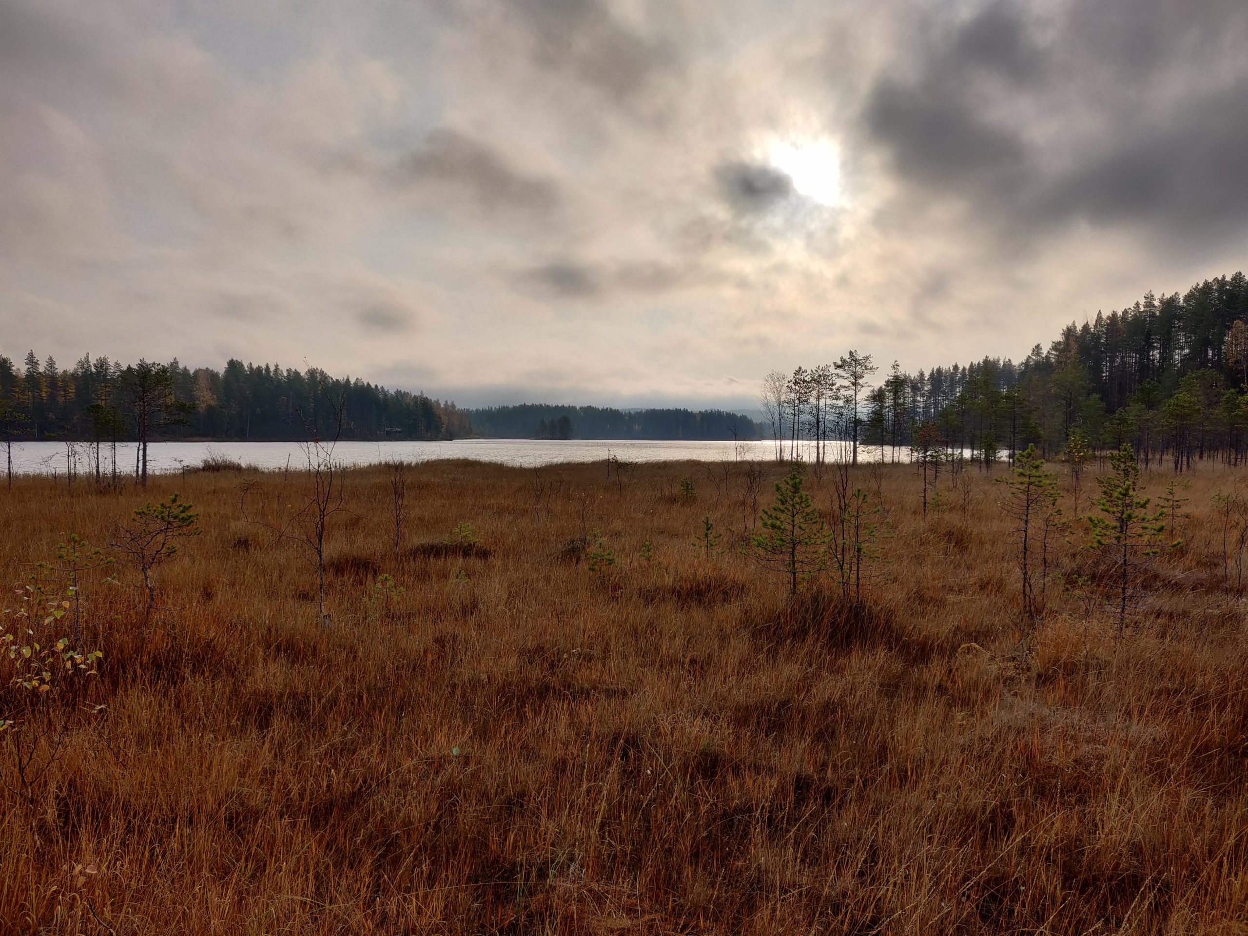 Kahdeksan tuntia Kolilla